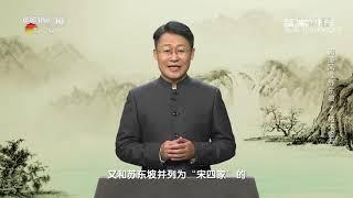 [百家讲坛]苏东坡画《枯木怪石图》赠予友人| CCTV百家讲坛官方频道