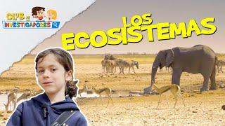 LOS ECOSISTEMAS | CLUB DE INVESTIGADORES | #education for #kids | Vídeos educativos para niños