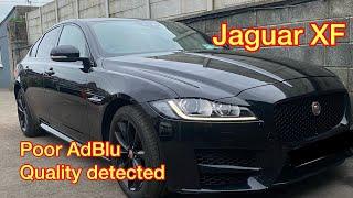 Jaguar  XF incorrect diesel fluid quality