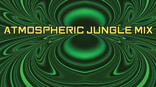 Ambient Jungle Mix 014: Immersive Fractal DNB mix (visualizations)