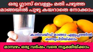 ഇത്രയൊക്കെ ഇതിൽ ഞെട്ടുന്ന സംഭവങ്ങളോ  | How to store mangoes long time |Mangoes tips