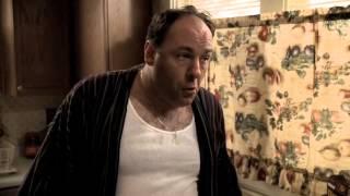 The Sopranos - Tony educates AJ