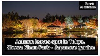 Tokyo in autumn, Illuminated Japanese garden in Showa Kinen Park