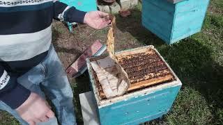 С чего начинаются весенние дни пчеловода любителя.