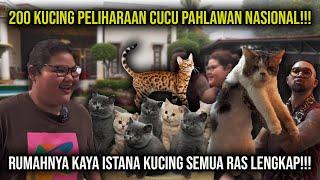 200 KUCING PELIHARAAN CUCU PAHLAWAN NASIONAL!!! RUMAHNYA KAYA ISTANA KUCING SEMUA RAS LENGKAP