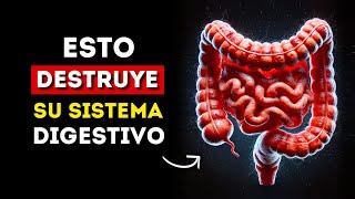 Los 10 mejores consejos para un sistema digestivo sano. (Es Importante)