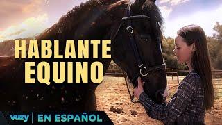 HABLANTE EQUINO | ESTRENO 2024 |  PELICULA EXCLUSIVA FAMILIAR | PELICULA EN ESPANOL LATINO