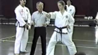 Seminar with Gen. Choi Hong Hi - Warsaw 1994, part 1