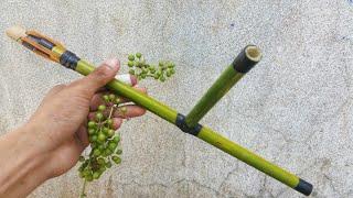 Making Easy Bamboo Gun that Can Shoot Fruit Bullet