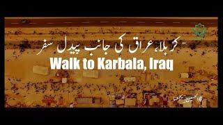 Arbaeen Walk 2018  - FHD Drone Aerial View The Largest Peaceful Gathering - Maarif.tv