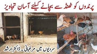 Chickens in Winter | A Complete Guide to Caring for your Flock | Dr. ARSHAD