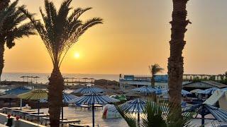 #vlog  Der Adler ist in Hurghada gelandet