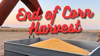 LAST DAY OF CORN HARVEST 2024!! the whole FAM came for this..