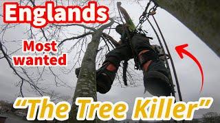 Average Day for British Tree Climber