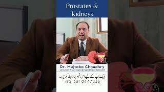 Prostates and Kidneys by Dr. Mujtaba Chaudhry  #drmujtabachaudhry #doctor #kidneydisease