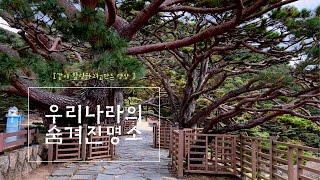 우리나라의 숨겨진 명소가 | 법기수원지 | 부산근교 | 힐링산책 #부산근교 #법기수원지#양산가볼만한곳