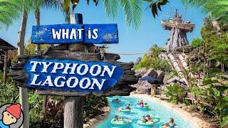 What is Disney's TYPHOON LAGOON? | 2024