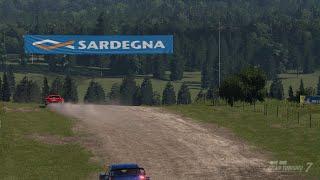 Local idiot takes on modern rally machines