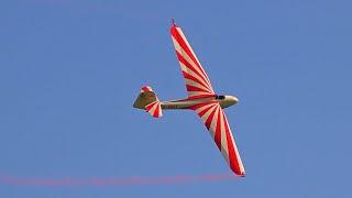 DFS Habicht - vintage glider aerobatic display - Christoph Zahn - Airshow Gelnhausen 2023