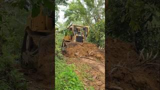 Speed Bulldozer D6R XL Makes Way in the Forest #bulldozer #catd6rxl #heavyequipment