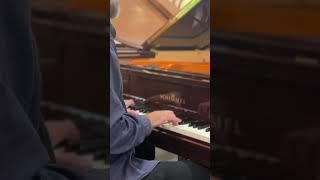 Schimmel C169