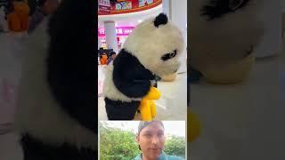 Cute panda riding horse    #funny #trending #comedy #shorts #shortvideo #viralvideo #video