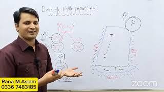 Birth of Holy Prophet (SAW) | Islamic studies Lecture 1 | Urdu/Hindi