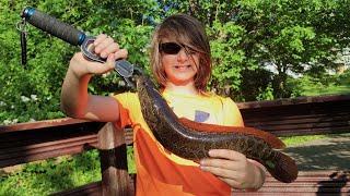 Shoreline Fishing for Bass & Snakeheads (Pressured Community Lake!!!)