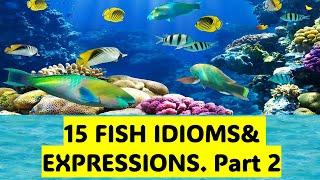 15 Fish idioms and Expressions. Part 2.