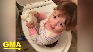 Toddler thinks toilet bowl is the perfect playground l GMA