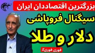 بزرگترین اقتصاد دان ایران سیگنال فروپاشی بازار دلار و طلا در آینده نزدیک  داد