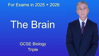 GCSE Biology Revision "The Brain" (Triple)