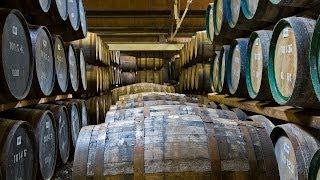 Barrel-Aged Beers | Craft Beer