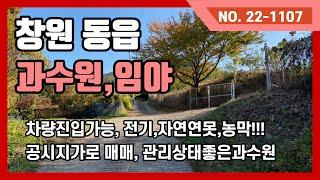 창원동읍 단감나무식재된 임야  공시지가로 매매합니다.