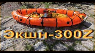 Экшн 300Z, "сухой" обзор