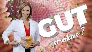 How to Improve Digestion & Gut Health | Dr. Janine