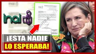 ¡POR FIN LE CAYÓ LA LEY A XÓCHITL GÁLVEZ! CONGRESO LE TUMBA SU NEGOCIO MILLONARIO