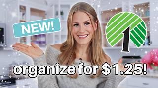 BEST Dollar Tree Organization for EVERY ROOM in 2025!  ALL my easiest viral secrets!