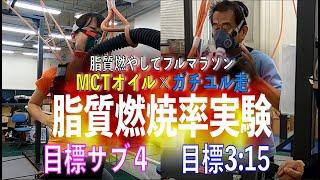 MCTオイルxガチユル走で脂質燃やしてフルマラソン！④～3時間15分切りと4時間切りを目指すランナー2人が脂質燃焼率を測定！弾き出された予測タイムとは？