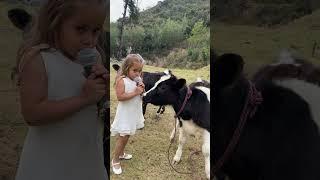 Adorable Baby Cow And Girl Interview