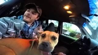Ginger & Bella ride to their new life