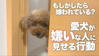 犬が嫌いな人に見せる行動　嫌な気持ちを表す仕草とは