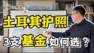 土耳其护照：3支基金如何选？