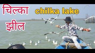 चिलिका झील - Chilika Lake Tour # chilka jheel doston ke sath enjoy.