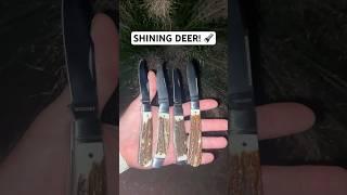 SHINING A LIGHT ON ROSECRAFT BLADES STAG SLIP JOINTS ️ #youtubeshorts #blade #edc