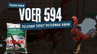 Baru Tahu dengan  Voer 594 Ayam Menjadi Sehat dan Gemuk