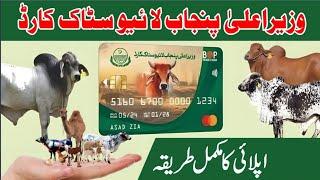 Livestock Card Punjab || How to Apply for Chief Minister Punjab Livestock Card