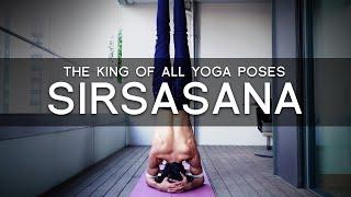 The KING of all YOGA Poses - 'SIRSASANA' or Headstand