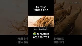 홍삼? 인삼? 정확한 차이는?