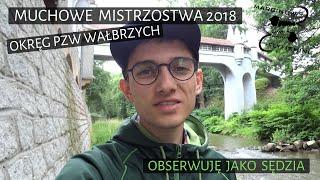 Muchowe mistrzostwa 2018 | Okręg PZW Wałbrzych | Sektor B2